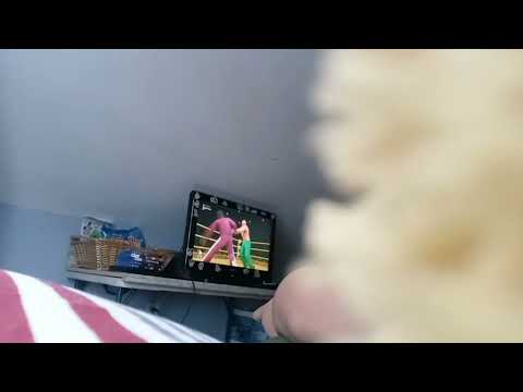 Def Jam 2K20 - Dan G, Razor & Zaheer vs Headache @ Warehouse