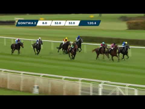 28.10.2023 - (Dzień 41; Gonitwa 2)