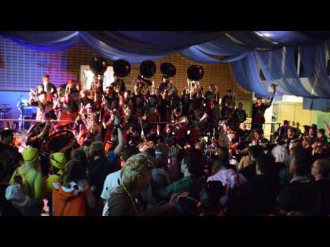 Gupfe-Fläxer  - Einmarsch  + Crazy in Love [ Niederhof 2017 ]