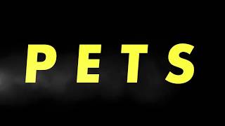 PETS CVI Video (from Keynote) gameplay video by BCCFA.SOT, 1:27 duration