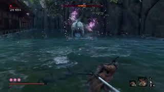 SEKIRO 11