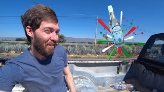I Hitchhiked Across Mexico To Drink Some Tequila (#7)
