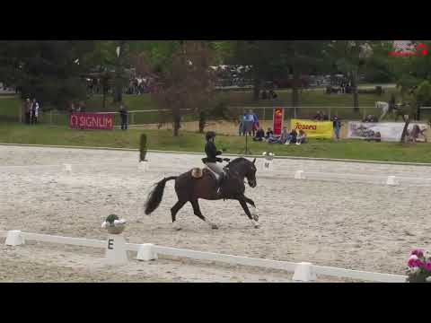 Siegesritt von Virginie Dubus und Hero de Nawies in der Master Class Dressage Working Equitation