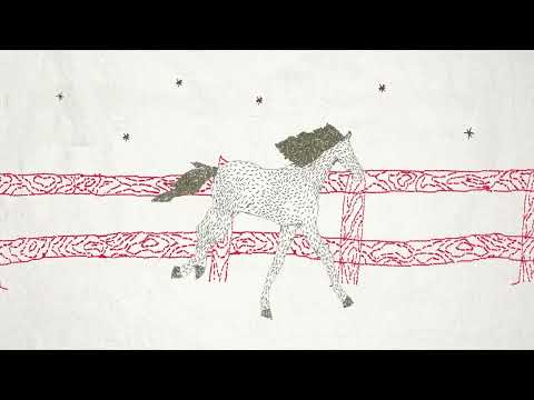 Video thumbnail for Gates of Heaven