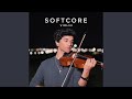 Softcore Violin