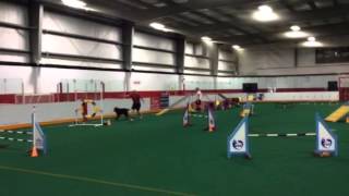 Master STD 2015 2015 08 28 48 04 Great contacts