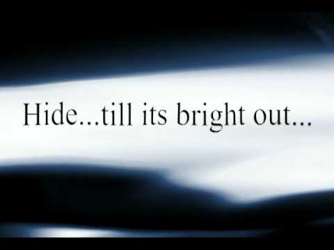 i shoot the lights out