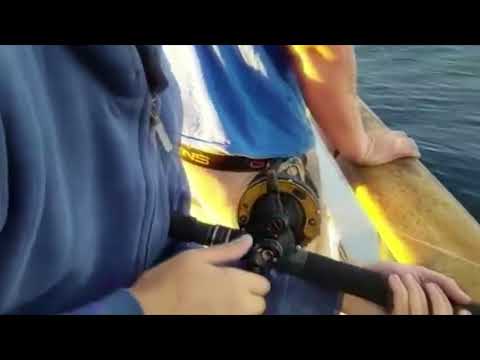 Louay catching 100 Pound Bluefin Tuna