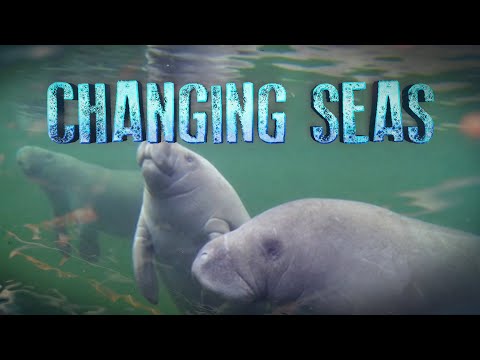 Bermuda: Life at Ocean's Edge