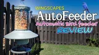 Wingscapes AutoFeeder Automatic Bird & Fowl Feeder REVIEW
