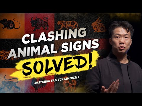 How to Manage Clashing Animal Signs | Mastering BaZi Fundamentals