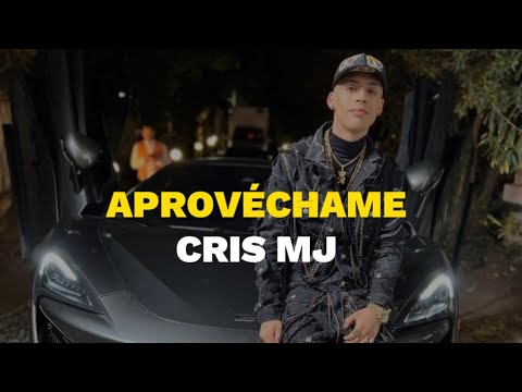 APROVÉCHAME - CRIS MJ (LETRA)
