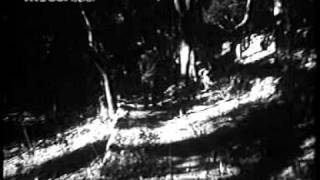 Banarasi Thug (1965) Yaad Suhaani Teri Bani Zindagaani