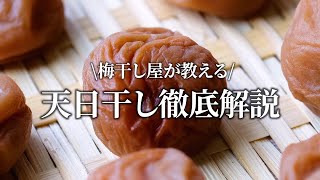 【室内OK!】梅干し屋の天日干しの方法を徹底解説します