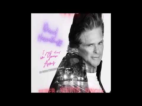 DAVID HASSELHOFF - I just died in Your arms  ian coleen whitelabel remix