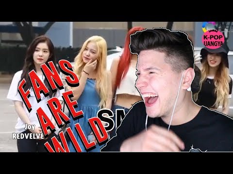 WHO IS THIS DUDE | KPOP IDOLS vs FAN'S SCREAMS #1 - BTS EXO BLACKPINK TWICE GOT7 REACTION