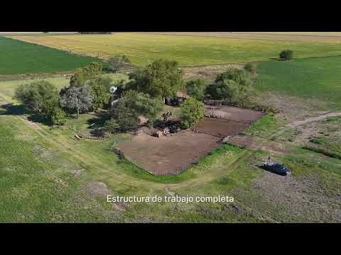 Campo en Melincué, Santa Fé / L. J. Ramos Brokers Inmobiliarios