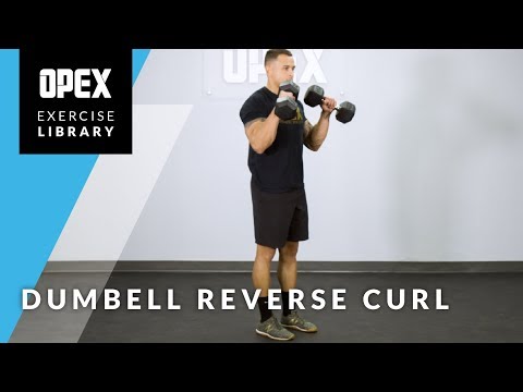 Reverse Dumbbell Curl