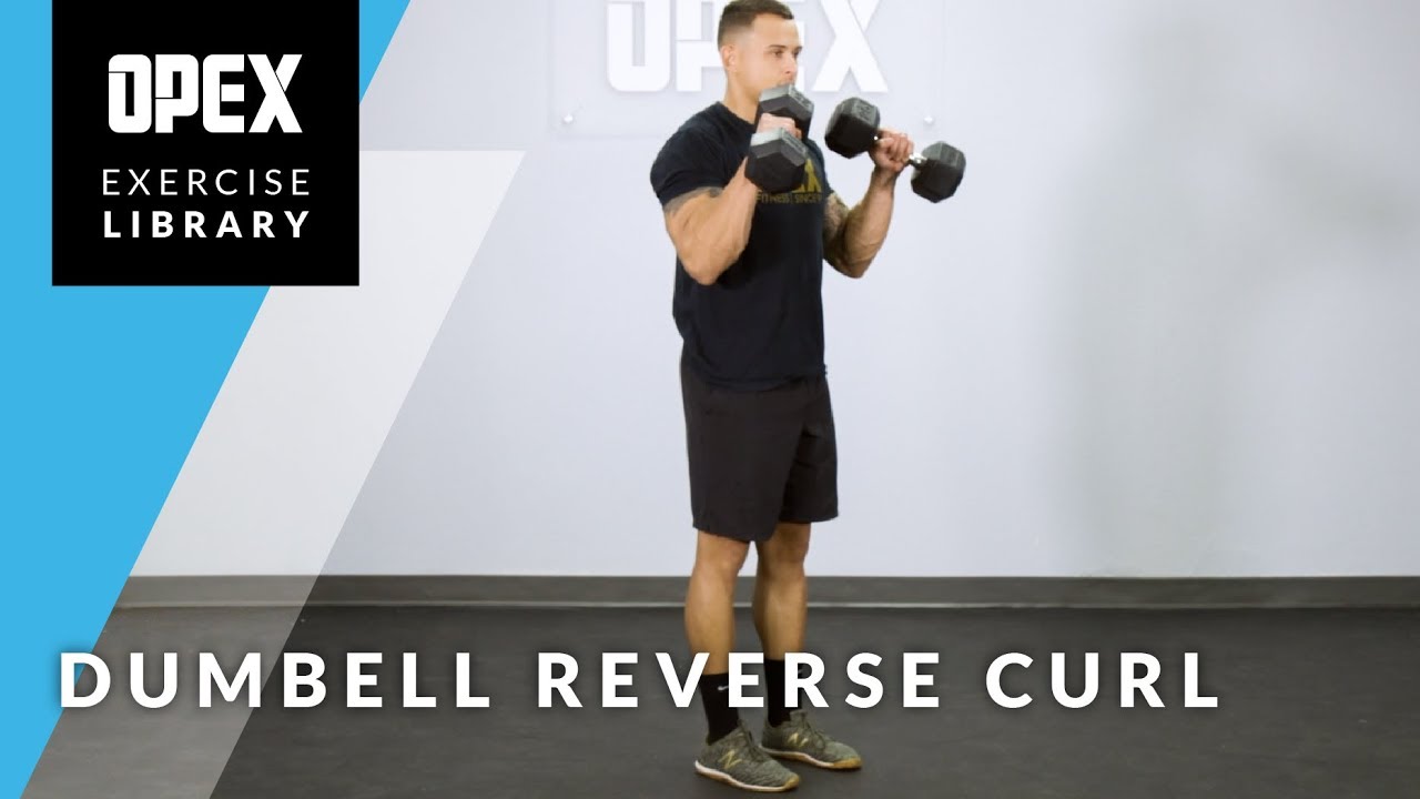 Reverse Curls