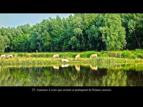 Salman Al Utaybi : Sourate Al Baqara v.1-38