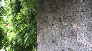 Sigtuna’s Rune Stone with Personality