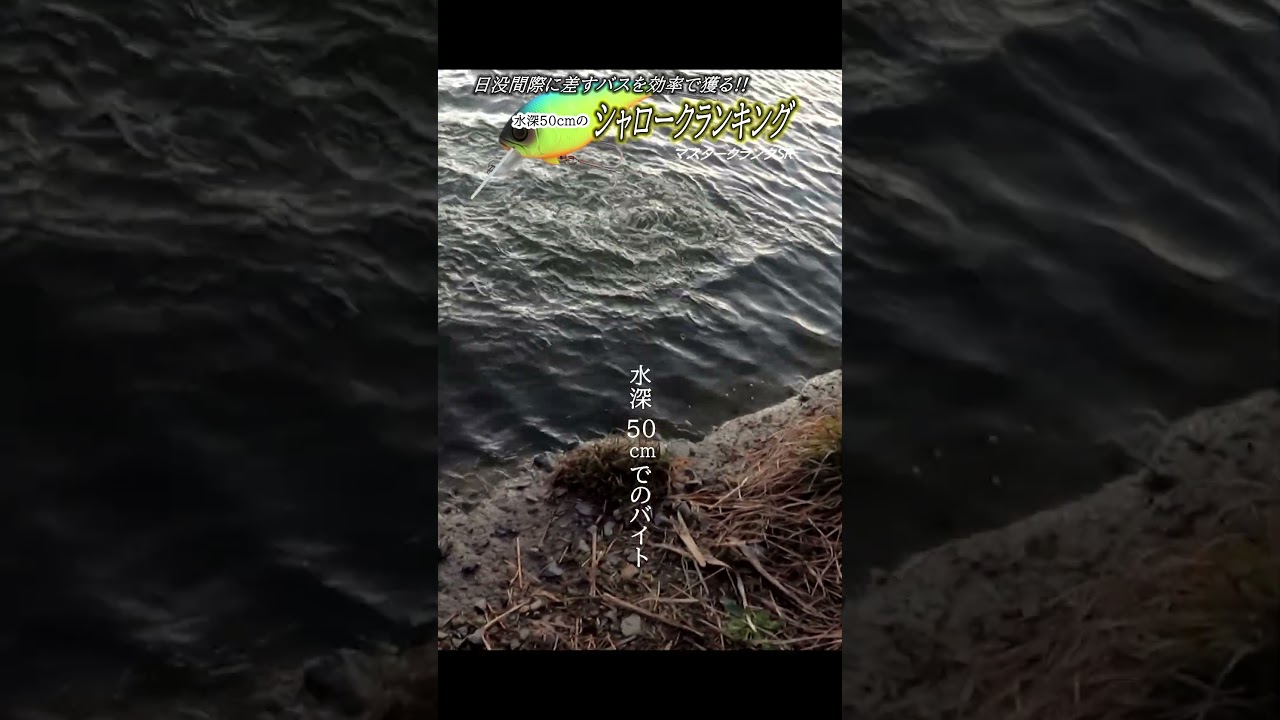 日没間際は効率で攻めよ!!