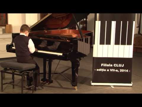 Pro Piano 2014 Radu Matei