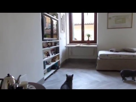 Casa disMappa Verona - Stanza ospitalità per persone in sedia a rotelle