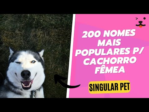 200 Nomes populares cachorros fêmeas