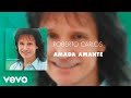 Roberto Carlos - Amada Amante (Áudio Oficial)