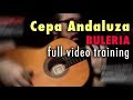 Cepa Andaluza (Buleria) by Paco de Lucia - Full Training - See Description