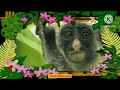The Amazing World Babytv 2006 Red Colobus Monkey