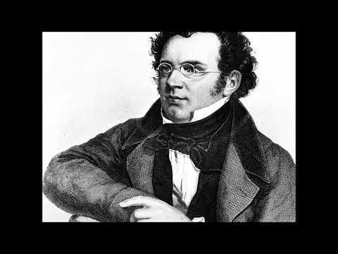 Sergey Koudriakov - F. Schubert / F. Liszt - "Lob der Tränen" (Praise of Tears)