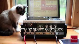 Roland re-201 space echo + iPad fugue machine + electric violin
