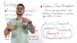 Ecologia - Energia, Cadeia e Teia Alimentar