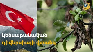 Թուրքիայից Հայաստան են բերվում վարակված տնկիներ. կենսաբանական դիվերսիայի վտանգ կարող է լինել