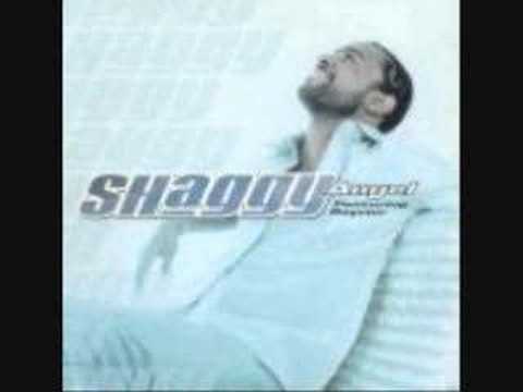 Eminem & Shaggy - Eye of the tiger