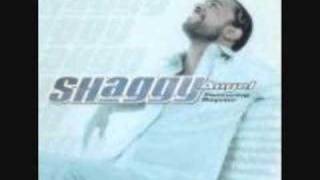 Eminem &amp; Shaggy - Eye of the tiger