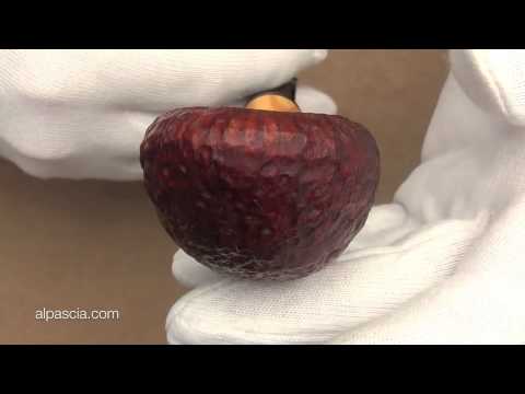 pipa Jurgen Moritz 040 - fajka