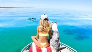 YBS Lifestyle Ep 41 - NYE | Spearfishing For Blue Bone | Amazing Sea Snakes And Dolphin