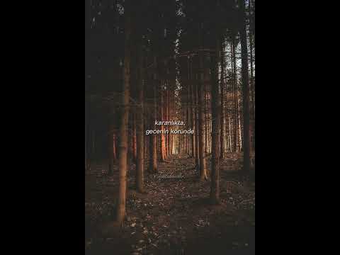 keşfet olsana ya ~Alya #fyp #shorts #siriusblack #keşfet