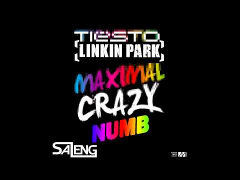 Maximal Crazy Numb - Tiesto VS. Linkin Park (Saleng Mashup)