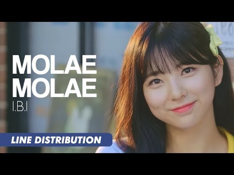 I.B.I (아이비아이) - MOLAE MOLAE (몰래몰래) | Line Distribution