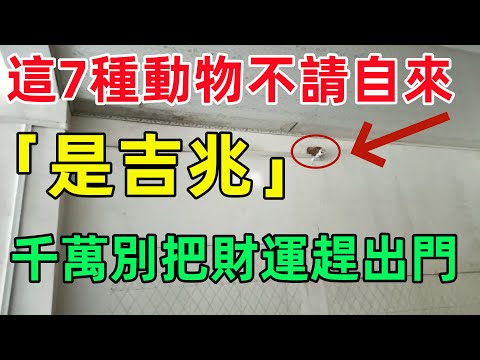 吉兆意思