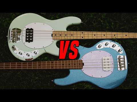 Sterling Ray4 vs Sterling Ray34 - Budget Bass Battle [Bass Review]