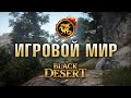 Игровой мир Black Desert 