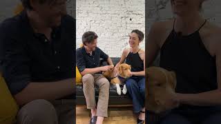 We Hung Out With A (Dog) Movie Star And His Filmmaker Parents | The Dodo