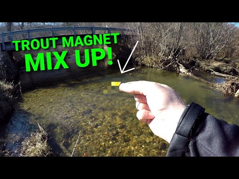 TROUT MAGNET Fishing a TINY CREEK! | Trout Fishing HODGEPODGE?