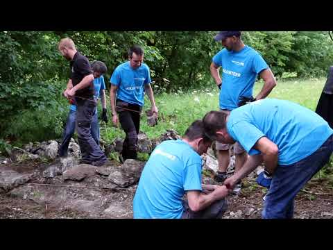 Volunteering with Somerset Wildlife Trust at Chancellor's Farm