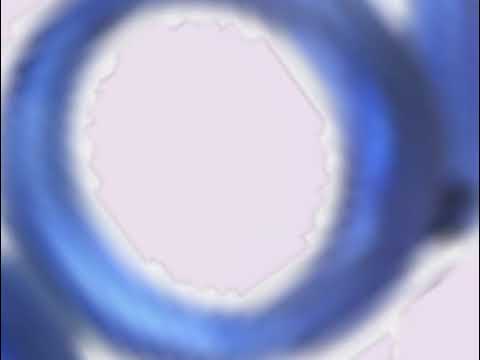 Vinheta Vai Você 2012-2013 Salt Cover